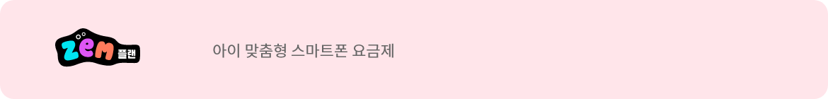 ZEM 플랜